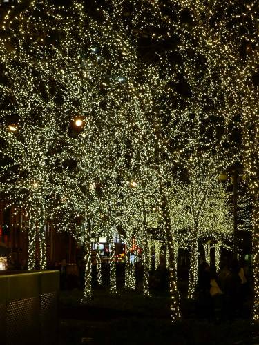 USA_2011-11-30 21-47-00